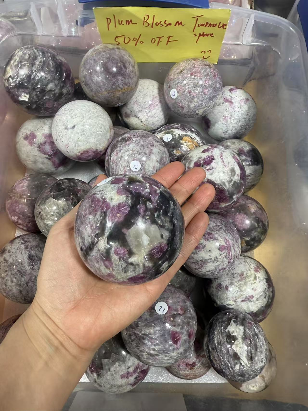 313