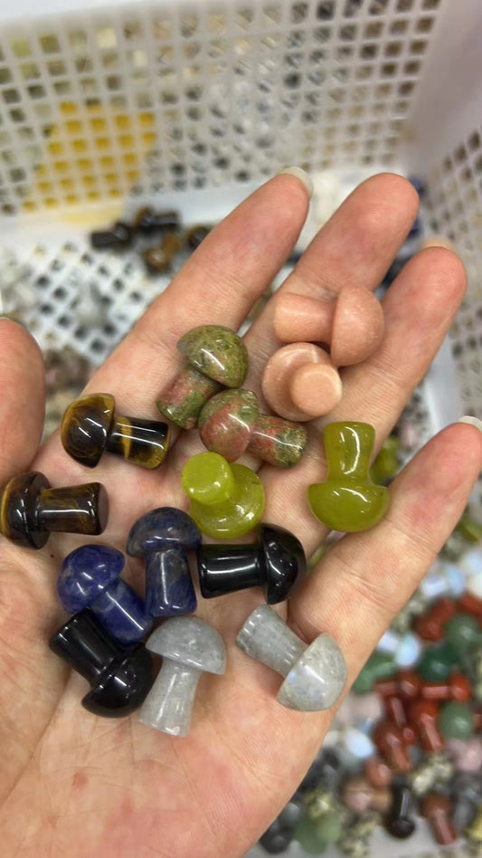 Assorted stone mushroom 1-inch