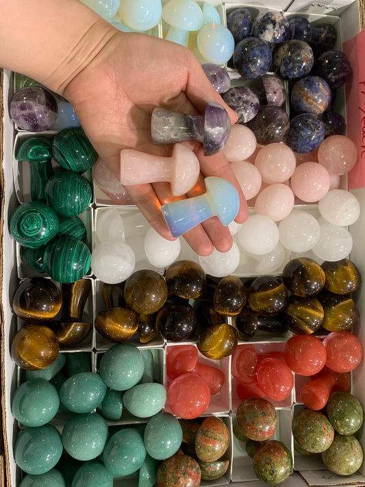 Assorted stone mushroom 2-inch