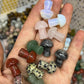 assorted stone mushroom 1-inch