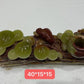 Afghanistan jade natural colour whole peace carving mushroom
